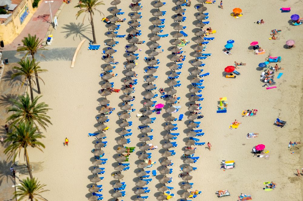 Peguera aus der Vogelperspektive: Sonnenschirmreihen am Sand- Strand im Küstenbereich des Platja Palmira entlang der Promenade des Bulevar de Peguera in Peguera in Balearische Insel Mallorca, Spanien