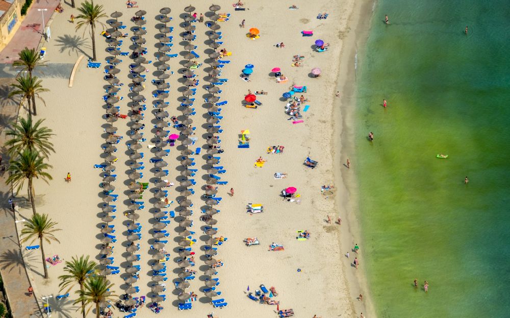 Luftbild Peguera - Sonnenschirmreihen am Sand- Strand im Küstenbereich des Platja Palmira entlang der Promenade des Bulevar de Peguera in Peguera in Balearische Insel Mallorca, Spanien