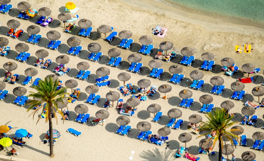 Peguera aus der Vogelperspektive: Sonnenschirmreihen am Sand- Strand im Küstenbereich des Platja Palmira entlang der Promenade des Bulevar de Peguera in Peguera in Balearische Insel Mallorca, Spanien