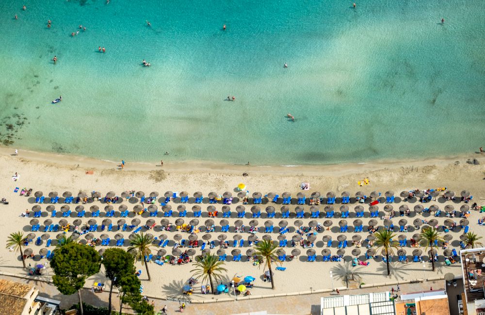 Luftbild Peguera - Sonnenschirmreihen am Sand- Strand im Küstenbereich des Platja Palmira entlang der Promenade des Bulevar de Peguera in Peguera in Balearische Insel Mallorca, Spanien