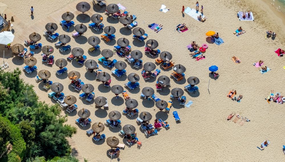 Luftbild Portals Nous - Sonnenschirmreihen am Sand- Strand im Küstenbereich des Platja de s'Oratori an der Passatge a la Mar in Portals Nous in Balearische Insel Mallorca, Spanien