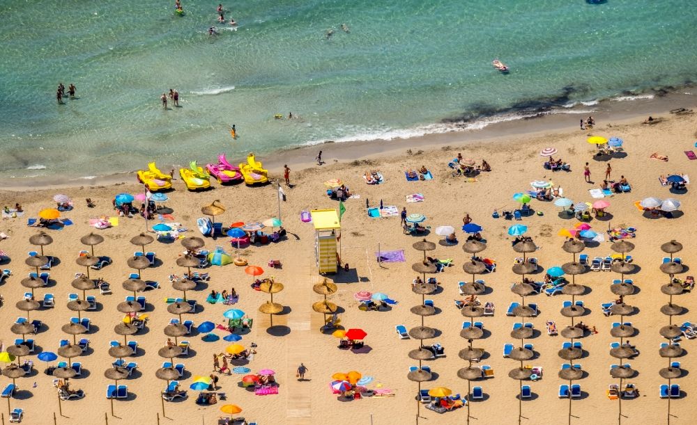 Luftaufnahme Calvia - Sonnenschirmreihen am Sandstrand im Küstenbereich Platja Gran de Torà in Calvia in Balearische Insel Mallorca, Spanien