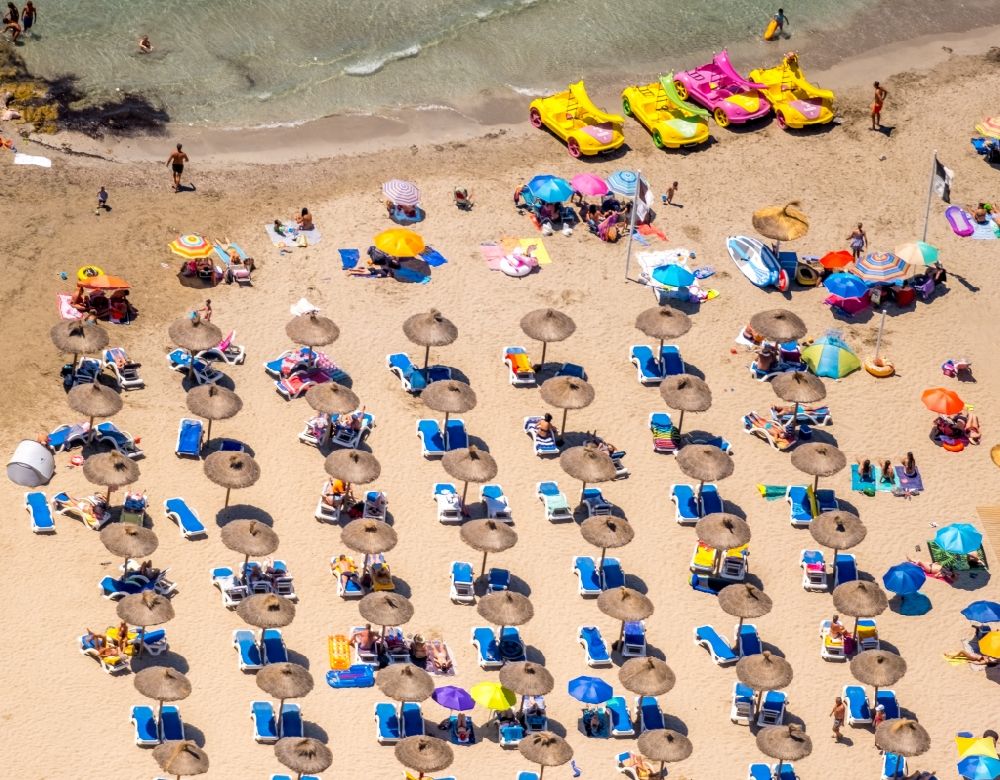Calvia aus der Vogelperspektive: Sonnenschirmreihen am Sandstrand im Küstenbereich Platja Gran de Torà in Calvia in Balearische Insel Mallorca, Spanien