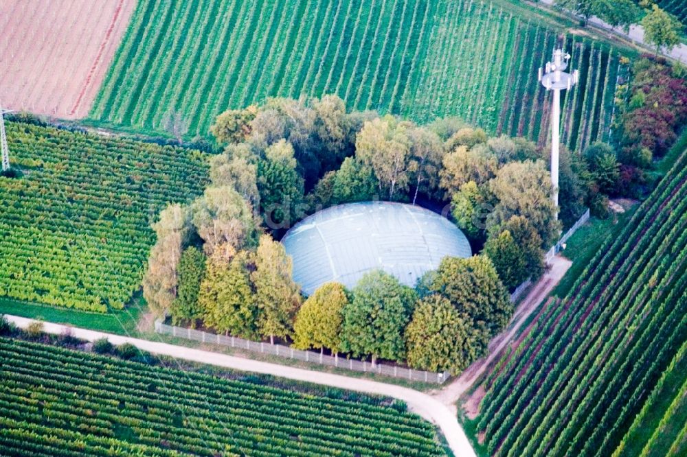 Luftbild Landau in der Pfalz - Speicherbehälter zwischen Weinbergen im Ortsteil Arzheim in Landau in der Pfalz im Bundesland Rheinland-Pfalz