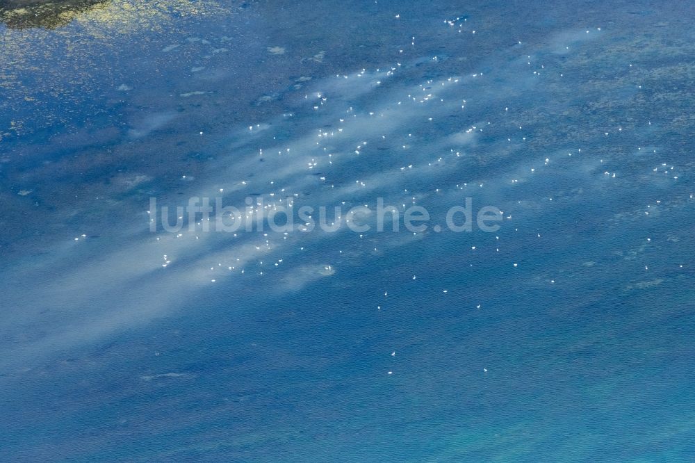 Luftaufnahme Friedrichshafen - Spiegelung auf der Wasseroberfläche des Bodensees in Immenstaad am Bodensee im Bundesland Baden-Württemberg, Deutschland