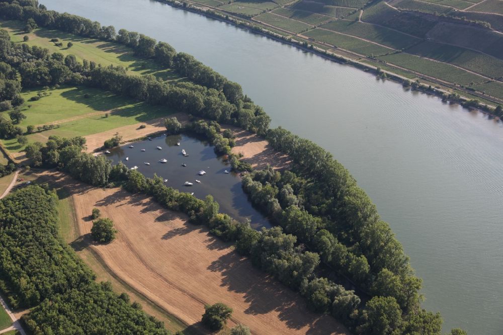 Trebur aus der Vogelperspektive: Sportboot- Anlegestellen und Bootsliegeplätze am Uferbereich des Rheins im Lercher Loch in Trebur im Bundesland Hessen, Deutschland