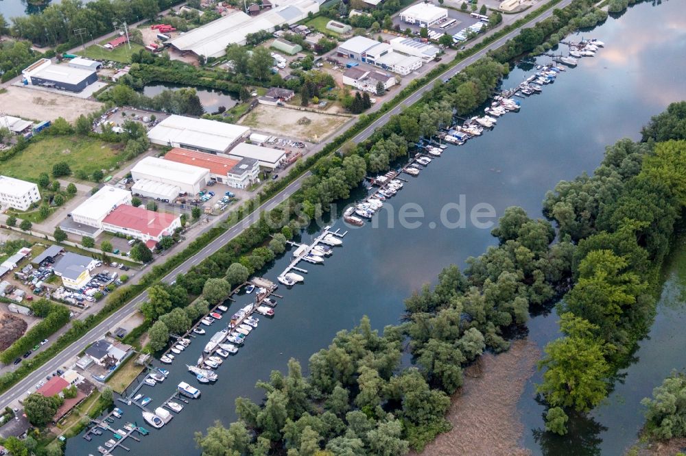 Lampertheim von oben - Sportboot- Anlegestellen und Bootsliegeplätzen am Uferbereich des Lampertheimer Altrheins KaiWest in Lampertheim im Bundesland Hessen, Deutschland