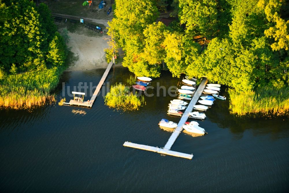 Luftaufnahme Roggentin - Sportboot- Anlegestellen und Bootsliegeplätzen am Uferbereich des Leppinsee in Roggentin im Bundesland Mecklenburg-Vorpommern, Deutschland
