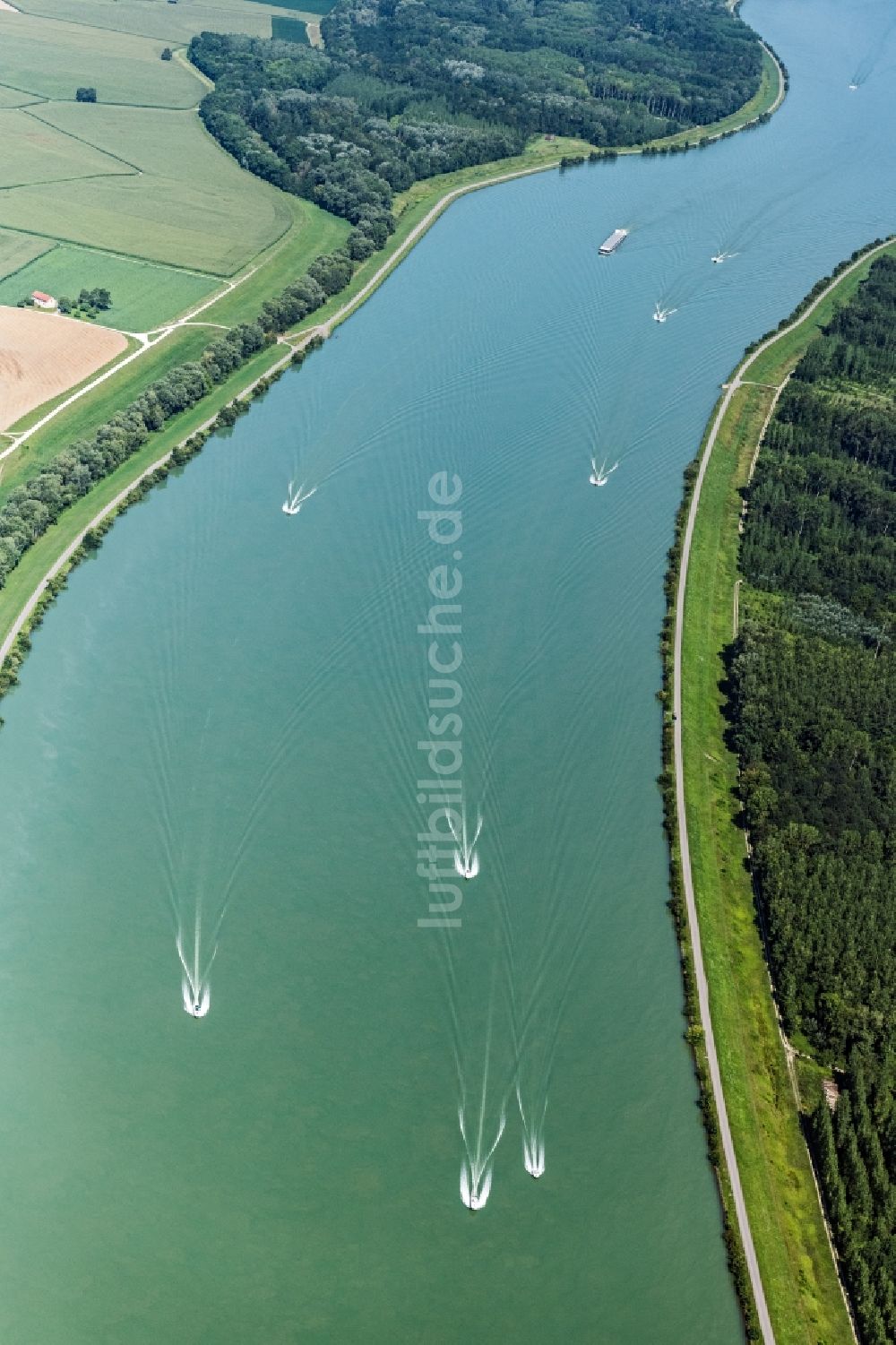 Strengberg von oben - Sportboot - in Fahrt auf der Donau in Strengberg in Niederösterreich, Österreich
