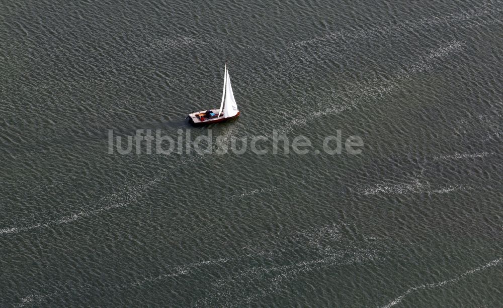 Luftbild Werder (Havel) - Sportboot in Fahrt auf der Havel in Werder (Havel) im Bundesland Brandenburg, Deutschland
