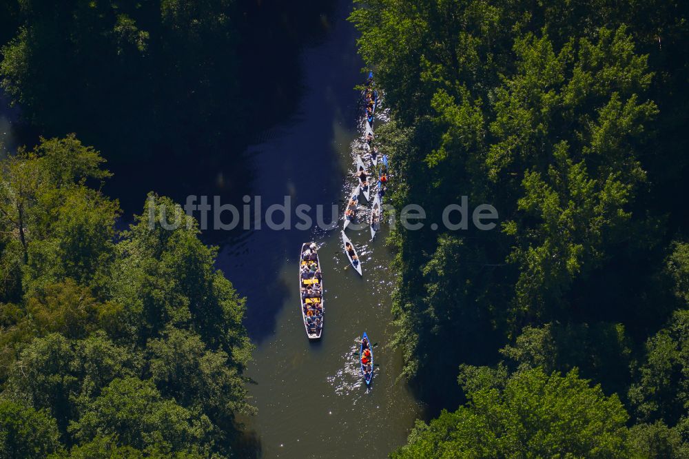 Lehde von oben - Sportboot - Ruderboot in Fahrt auf der Hauptspree in Lehde im Bundesland Brandenburg, Deutschland