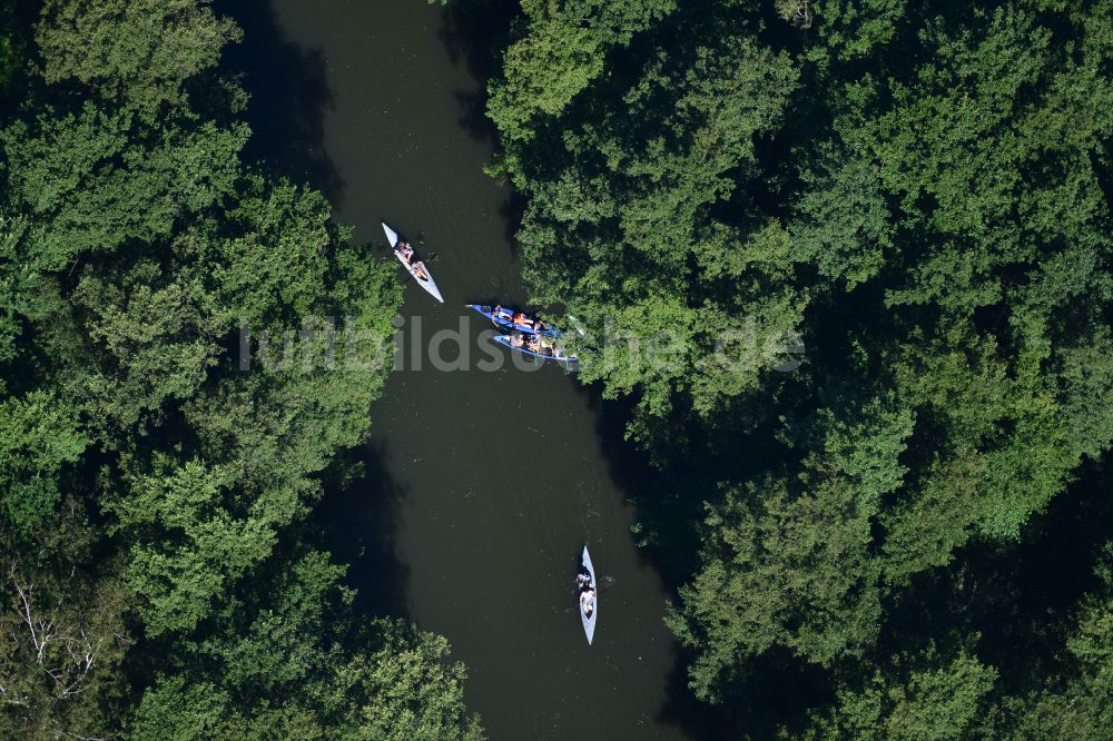 Lehde aus der Vogelperspektive: Sportboot - Ruderboot in Fahrt auf der Hauptspree in Lehde im Bundesland Brandenburg, Deutschland