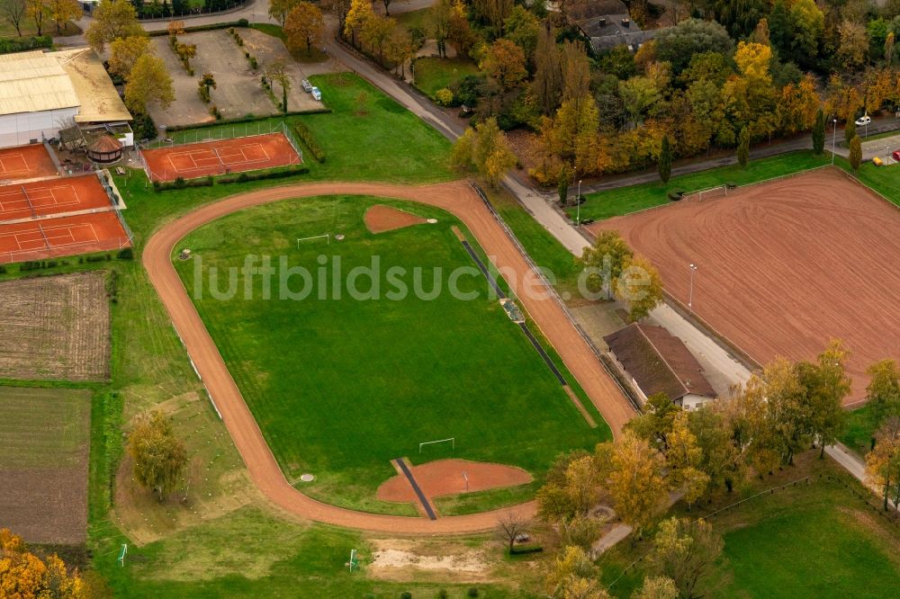 Luftbild Meißenheim - Sportplatz- Fussballplatz in Meißenheim im Bundesland Baden-Württemberg, Deutschland