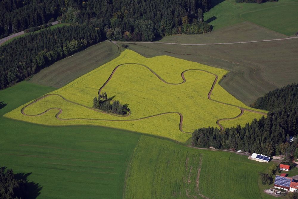 Luftaufnahme Bonndorf im Schwarzwald - Spur in gelb blühendem Raps Feld bei Bonndorf im Schwarzwald im Bundesland Baden-Württemberg, Deutschland