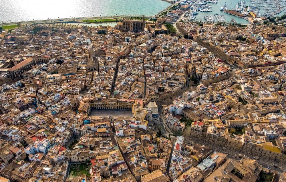 Luftaufnahme Palma - Stadtansicht vom Innenstadtbereich mit dem historischen Plaça Major in Palma in Balearische Insel Mallorca, Spanien