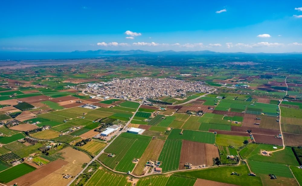 Luftbild Sa Pobla - Stadtansicht vom Innenstadtbereich in Sa Pobla in Balearische Insel Mallorca, Spanien