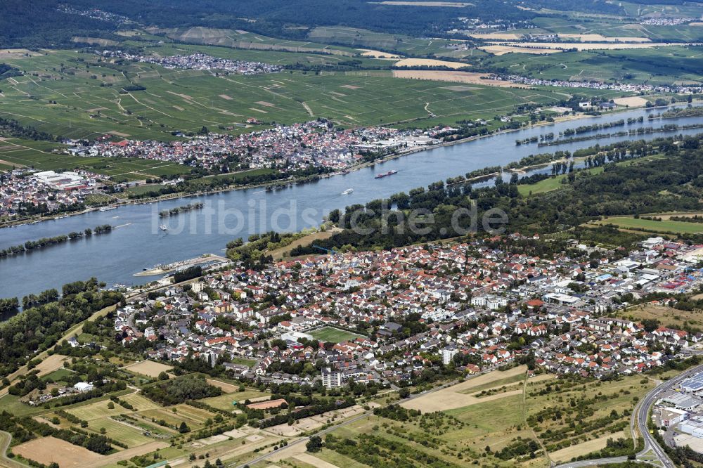 Luftbild Frei-Weinheim - Stadtansicht am Ufer des Flußverlaufes des Rhein in Frei-Weinheim im Bundesland Rheinland-Pfalz, Deutschland