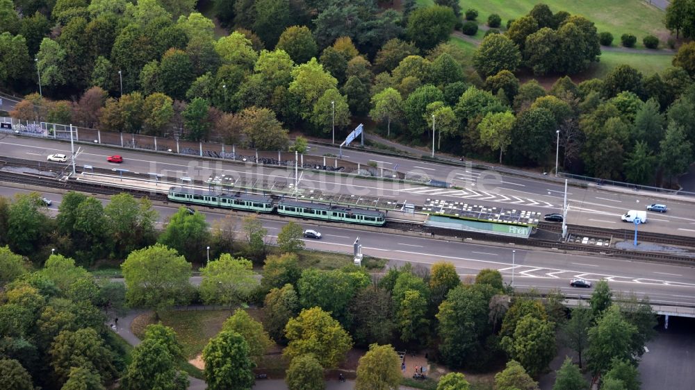 Luftbild Bonn - Stadtbahnhaltestelle „Rheinaue“ in Bonn im Bundesland Nordrhein-Westfalen, Deutschland