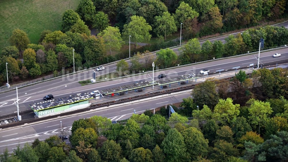Luftbild Bonn - Stadtbahnhaltestelle „Rheinaue“ in Bonn im Bundesland Nordrhein-Westfalen, Deutschland