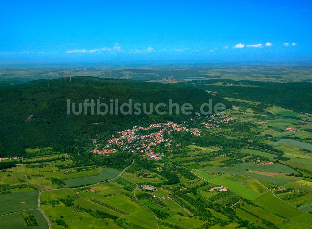 Dannenfels aus der Vogelperspektive: Stadtgebiet inmitten der Landwirtschaft in Dannenfels im Bundesland Rheinland-Pfalz, Deutschland