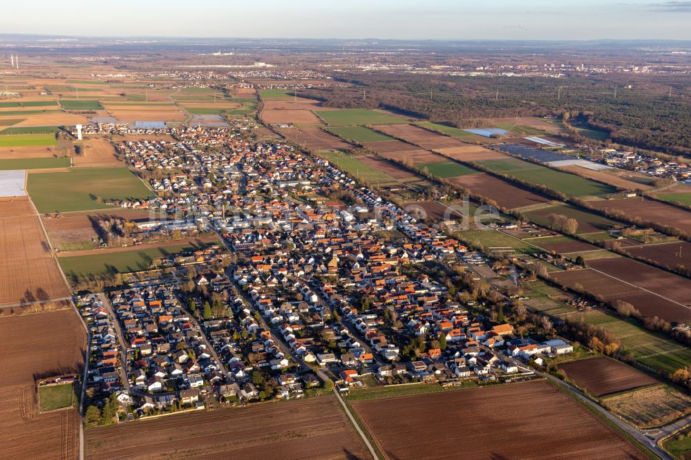 Luftbild Lustadt - Stadtgebiet inmitten der Landwirtschaft in Lustadt im Bundesland Rheinland-Pfalz, Deutschland