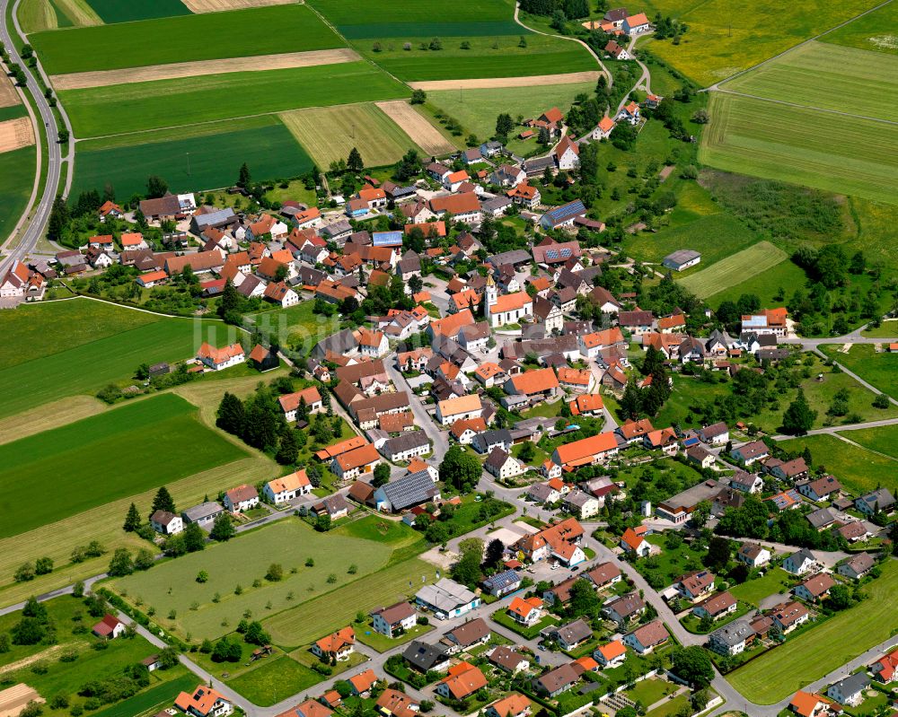 Riedlingen von oben - Stadtgebiet inmitten der Landwirtschaft in Riedlingen im Bundesland Baden-Württemberg, Deutschland
