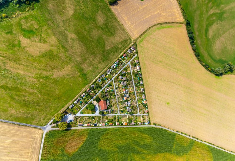 Alstedde von oben - Stadtrand und Außenbezirks- Wohngebiete in Dreiecks- Form in Alstedde im Bundesland Nordrhein-Westfalen, Deutschland