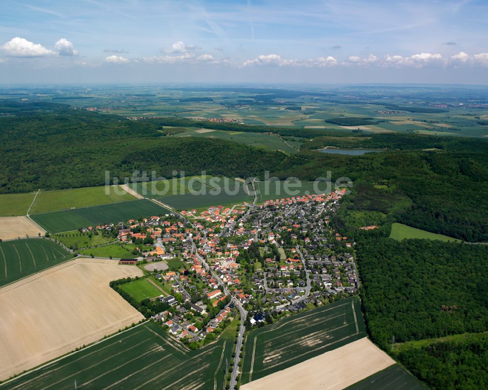 Luftbild Hahndorf - Stadtrand mit landwirtschaftlichen Feldern in Hahndorf im Bundesland Niedersachsen, Deutschland