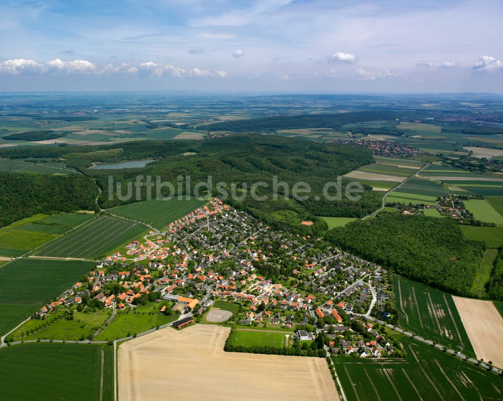 Luftaufnahme Hahndorf - Stadtrand mit landwirtschaftlichen Feldern in Hahndorf im Bundesland Niedersachsen, Deutschland