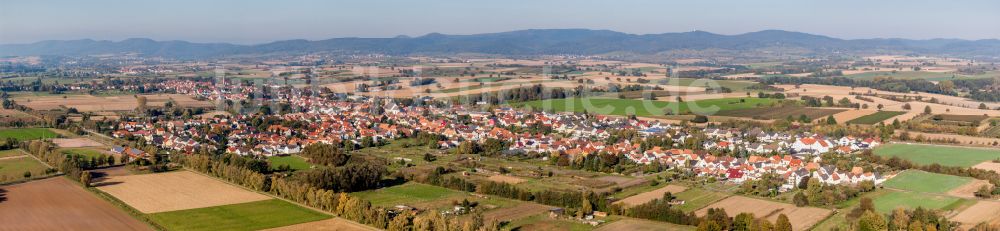 Steinfeld von oben - Stadtrand mit landwirtschaftlichen Feldern in Steinfeld im Bundesland Rheinland-Pfalz, Deutschland
