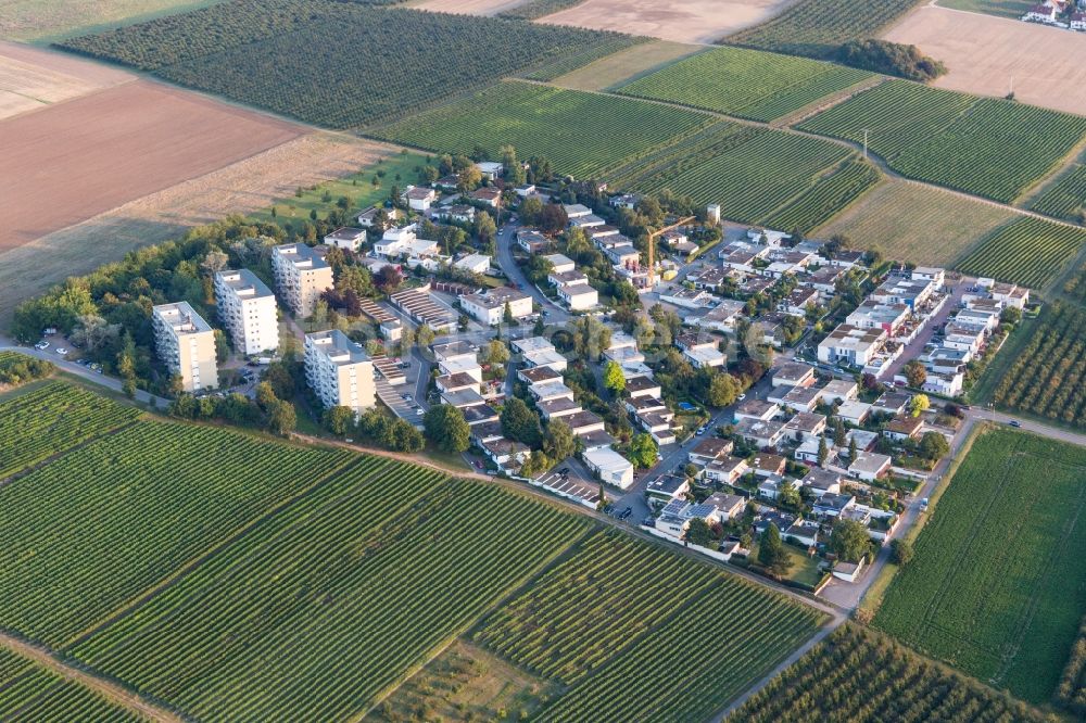 Luftaufnahme Nieder-Olm - Stadtteil Goldbergstraße im Stadtgebiet in Nieder-Olm im Bundesland Rheinland-Pfalz, Deutschland