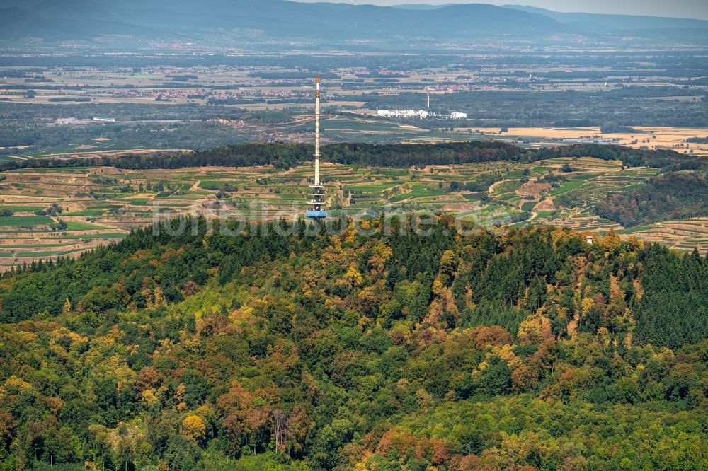 Ihringen aus der Vogelperspektive: Stahlmast- Funkturm und Sendeanlage als Grundnetzsender Neunlindenturm in Ihringen im Bundesland Baden-Württemberg, Deutschland