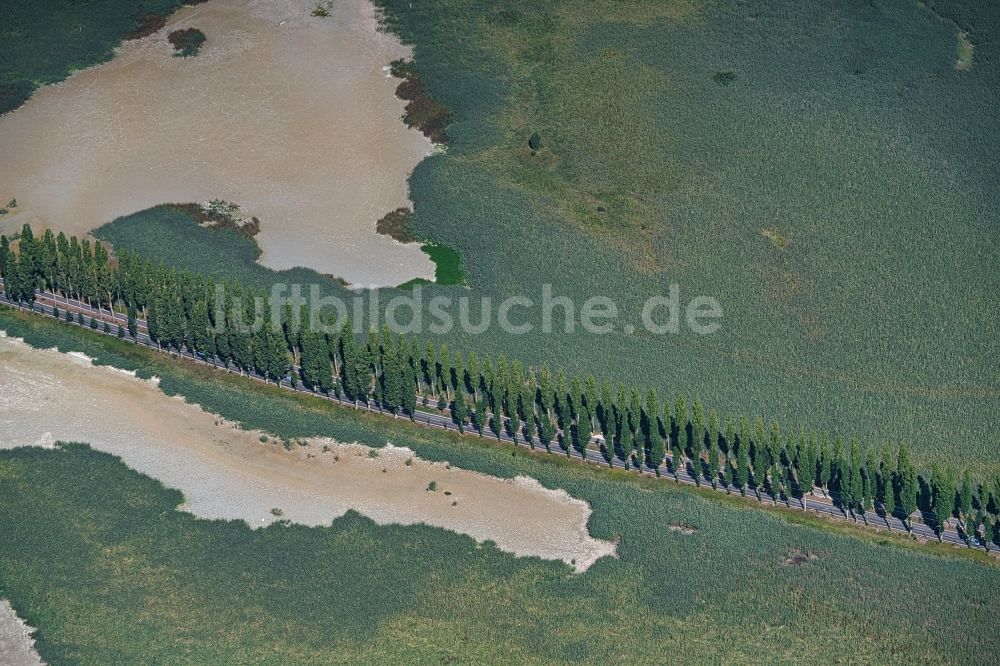 Luftaufnahme Reichenau - Steg zur Bodensee-Insel Reichenau im Abendlicht in Reichenau im Bundesland Baden-Württemberg