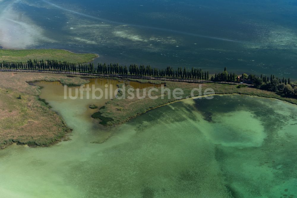 Luftbild Reichenau - Steg zur Bodensee-Insel Reichenau in Reichenau im Bundesland Baden-Württemberg