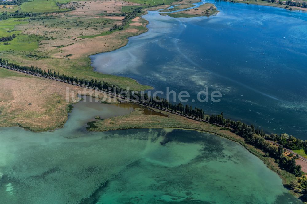 Reichenau aus der Vogelperspektive: Steg zur Bodensee-Insel Reichenau in Reichenau im Bundesland Baden-Württemberg