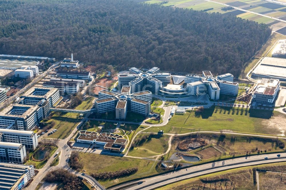 Walldorf aus der Vogelperspektive: Sternförmige Büro- und Geschäftshäuser der SAP Deutschland SE & Co. KG in Walldorf im Bundesland Baden-Württemberg