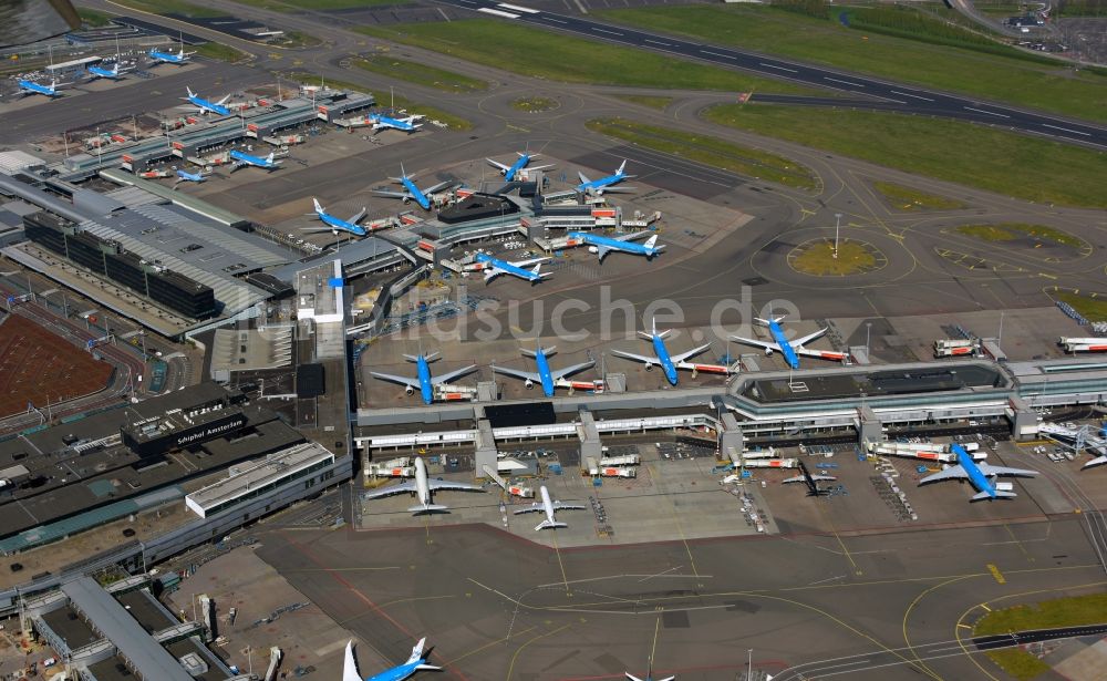 Schiphol aus der Vogelperspektive: Stillgelegte KLM- Passagierflugzeuge an den Terminals auf dem Gelände des Flughafen in Schiphol in Noord-Holland, Niederlande