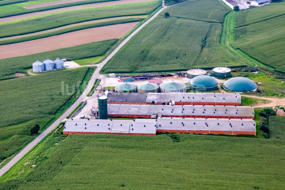 Luftbild Wintzenbach - Ställe zur Geflügelzucht mit Biogasanlagen auf dem Gehöft eines Bauernhofes am Rand von bestellten Feldern in Wintzenbach in Grand Est, Frankreich