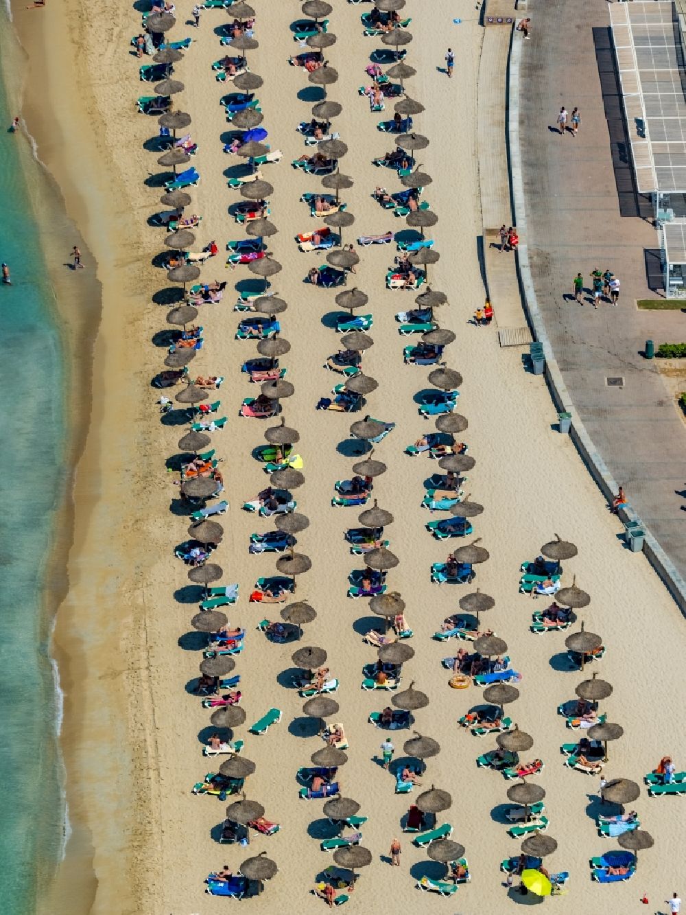 Palma aus der Vogelperspektive: Strandkorb- Reihen am Sand- Strand im Küstenbereich des Ballermann 8 an der Carretera de l'Arenal in Palma in Balearische Insel Mallorca, Spanien