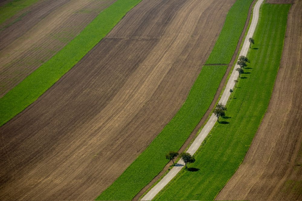 Luftbild Schwechat - Straße durch Felder bei Schwechat im Bundesland Niederösterreich in Österreich