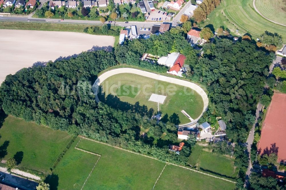 Luftaufnahme Haßloch - Strecke der Radrennbahn im Wald von Haßloch im Bundesland Rheinland-Pfalz