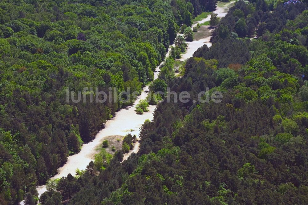 Luftbild Berlin - Strecken- Verlauf der ehemaligen innerdeutschen Staatsgrenze im Wald Bieselheide im Ortsteil Reinickendorf in Berlin, Deutschland