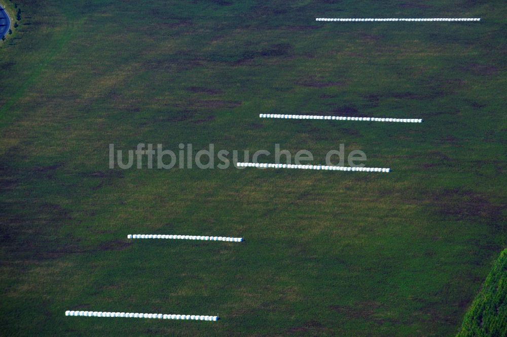 Luftbild Lutherstadt Wittenberg - Strohballen- Landschaft auf einem Feld am Ortsrand in Lutherstadt Wittenberg im Bundesland Sachsen-Anhalt