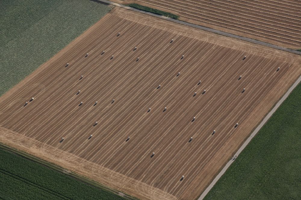 Luftaufnahme Osthofen - Strohballen in einer landwirtschaftlichen Fläche in Osthofen im Bundesland Rheinland-Pfalz, Deutschland