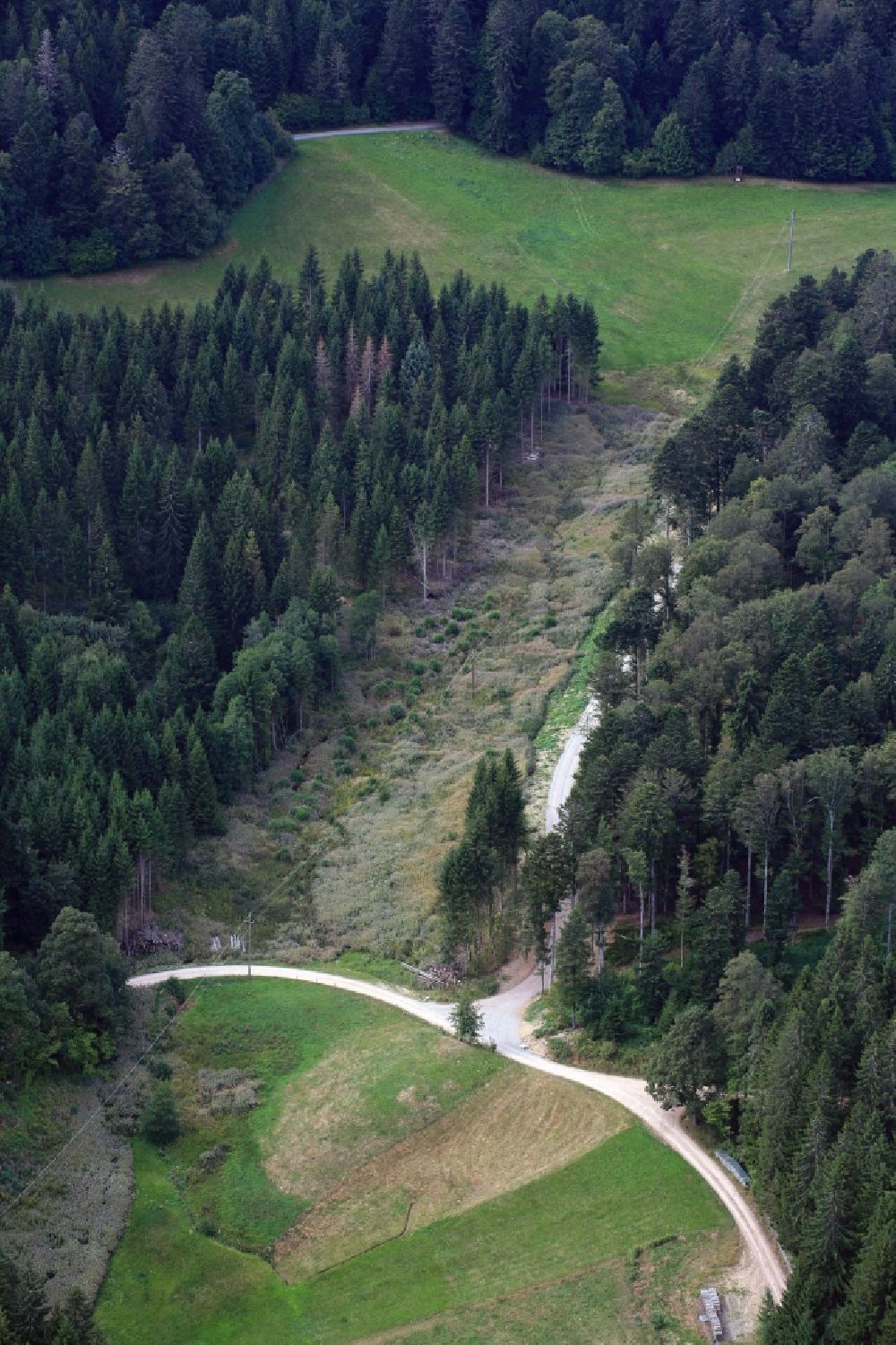 Luftaufnahme Schopfheim - Stromtrasse in Waldschneise mit Feuchtgebiet in Schopfheim im Bundesland Baden-Württemberg