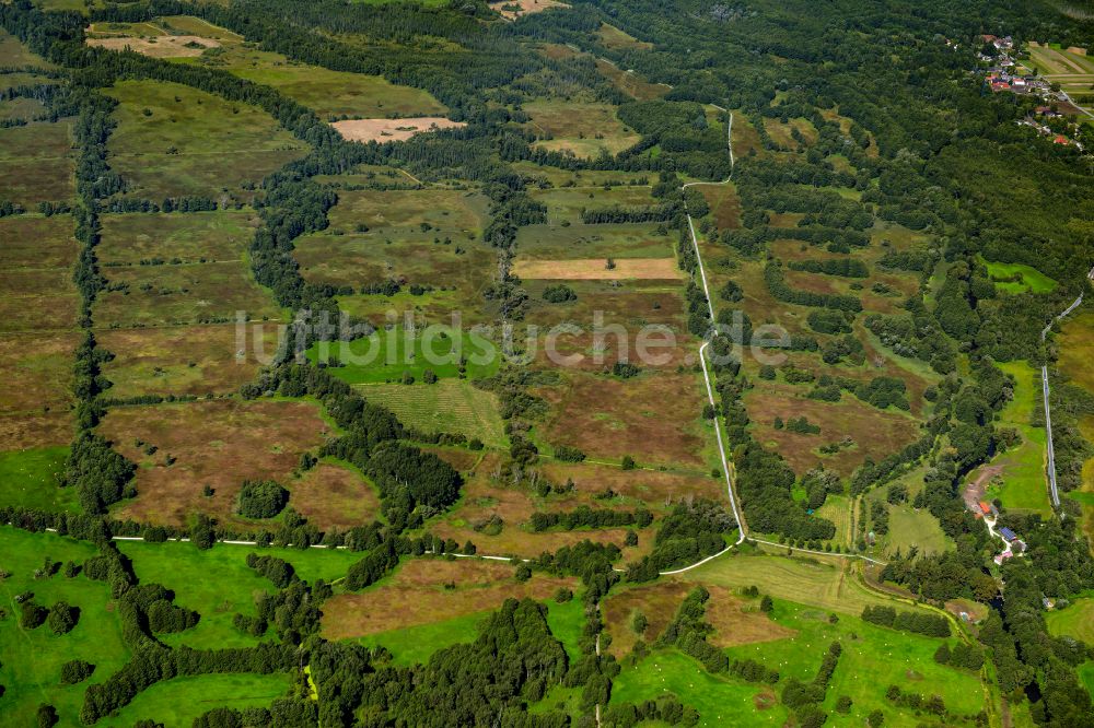 Luftbild Leipe - Strukturen einer Auen und- Wiesen- Landschaft in Leipe im Bundesland Brandenburg, Deutschland