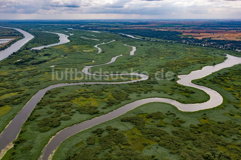 Luftaufnahme Gryfino - Strukturen einer Auen und- Wiesen- Landschaft der Oder in Gryfino in Zachodniopomorskie, Polen