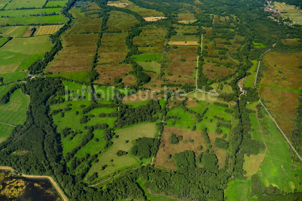 Luftaufnahme Raddusch - Strukturen einer Auen und- Wiesen- Landschaft in Raddusch im Bundesland Brandenburg, Deutschland
