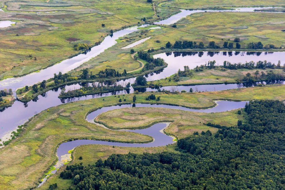 Luftbild Gatow - Strukturen einer Auen und- Wiesen- Landschaft am Ufer des Flußverlaufes der Oder in Gatow im Bundesland Brandenburg, Deutschland