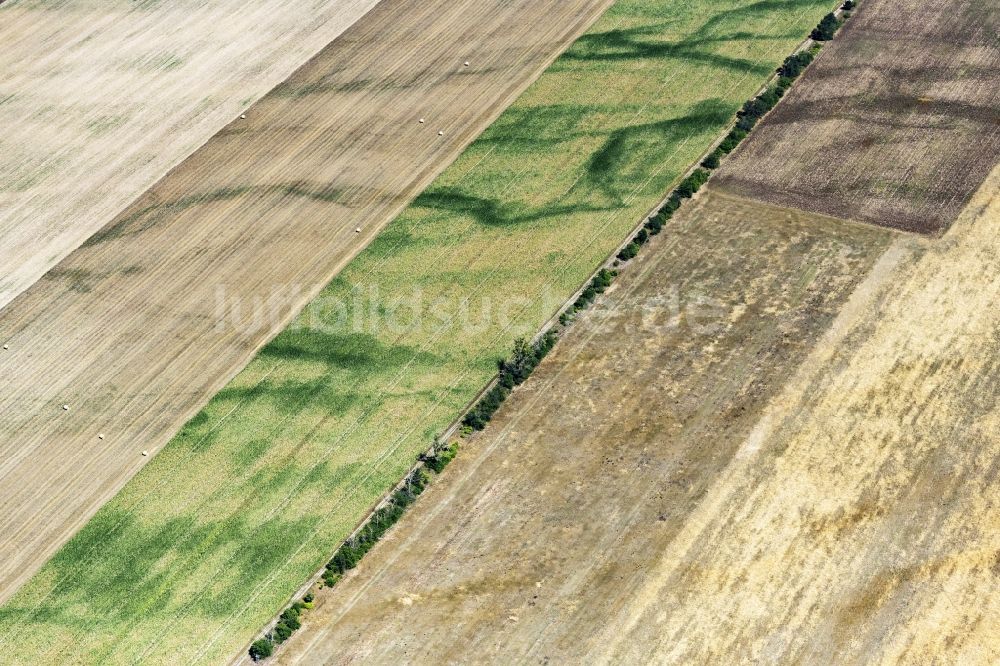Luftaufnahme Bad Düben - Strukturen auf landwirtschaftlichen Feldern in Bad Düben im Bundesland Sachsen, Deutschland